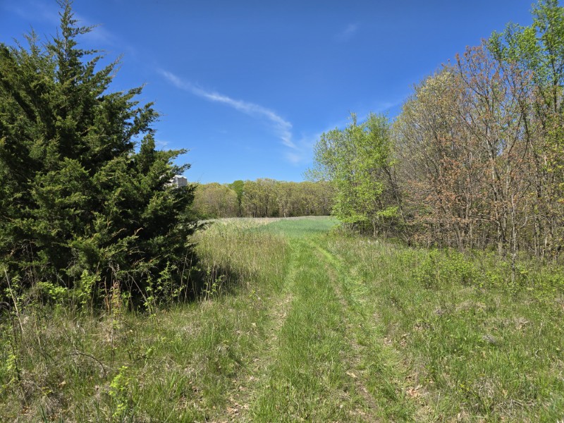Listing photo 45